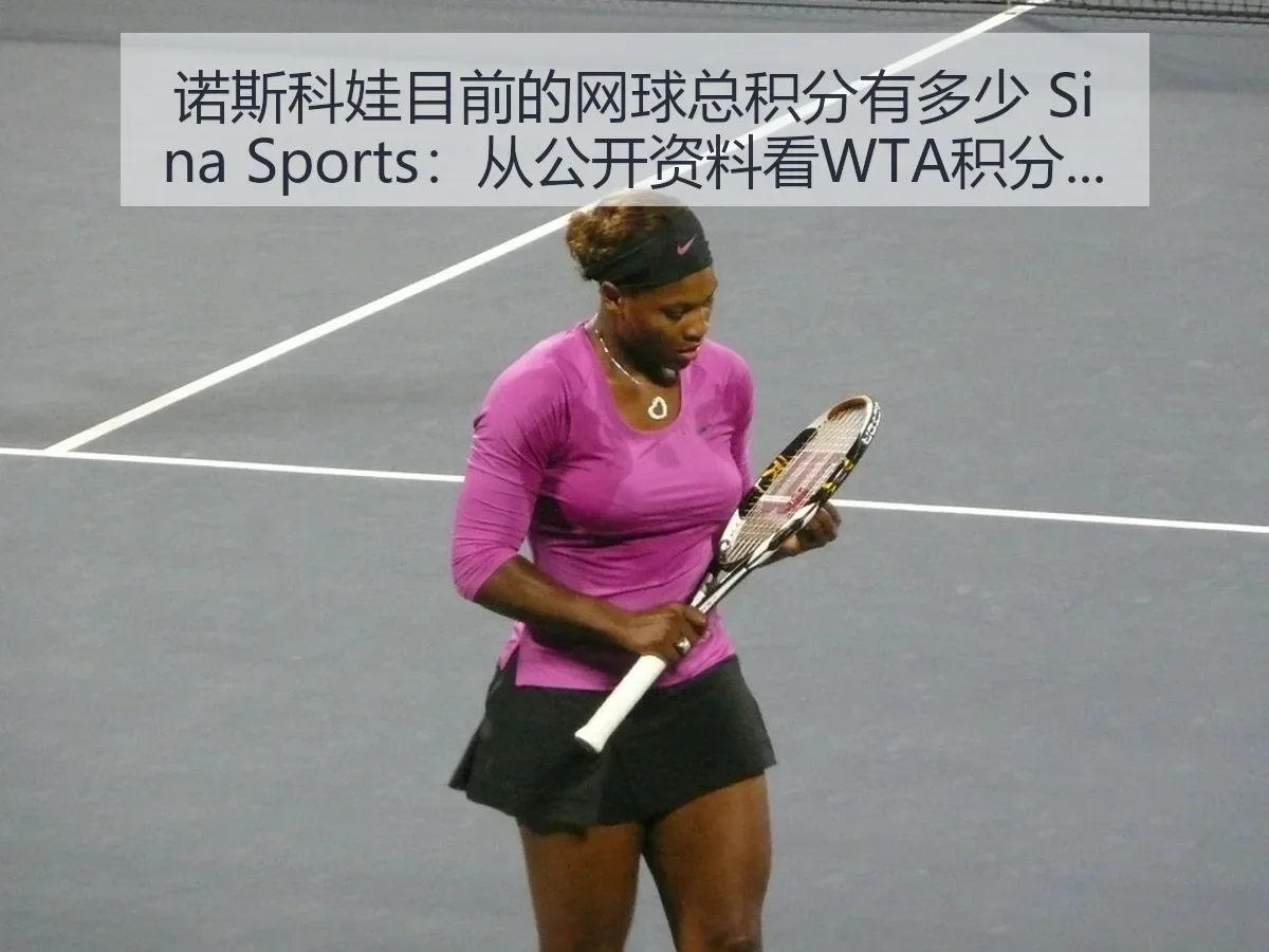 诺斯科娃目前的网球总积分有多少:从公开资料看WTA积分的解读